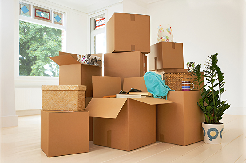 Factors to consider before relocating to Trivandrum